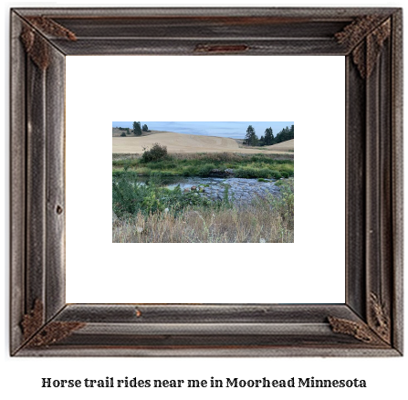 horse trail rides near me in Moorhead, Minnesota